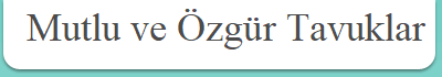  Mutlu ve �zg�r Tavuklar